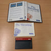 Pro Wrestling Sega Master System game