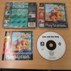 Lion and the King Sony PS1 game