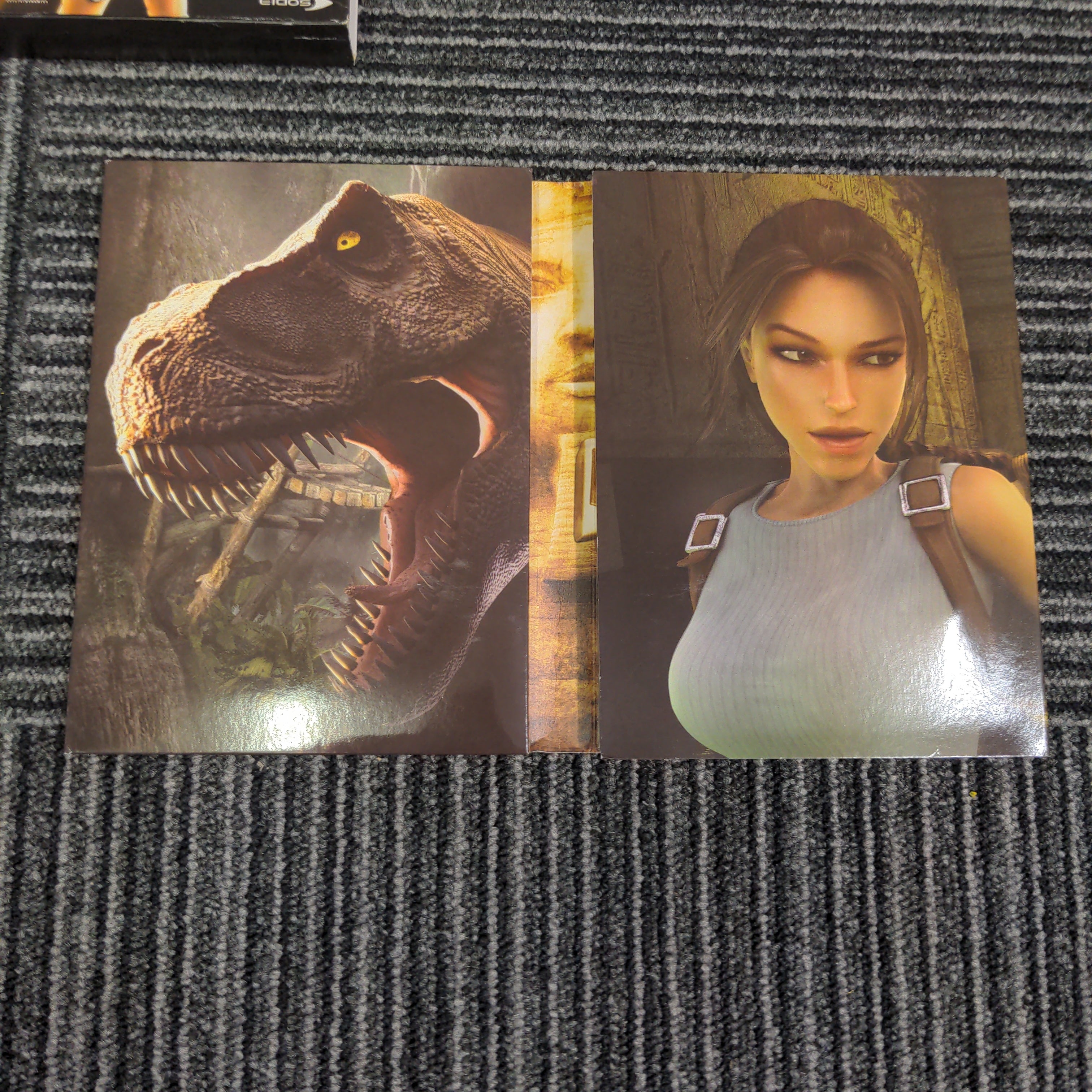 Tomb Raider Anniversary Collector's Edition Sony PS2 game
