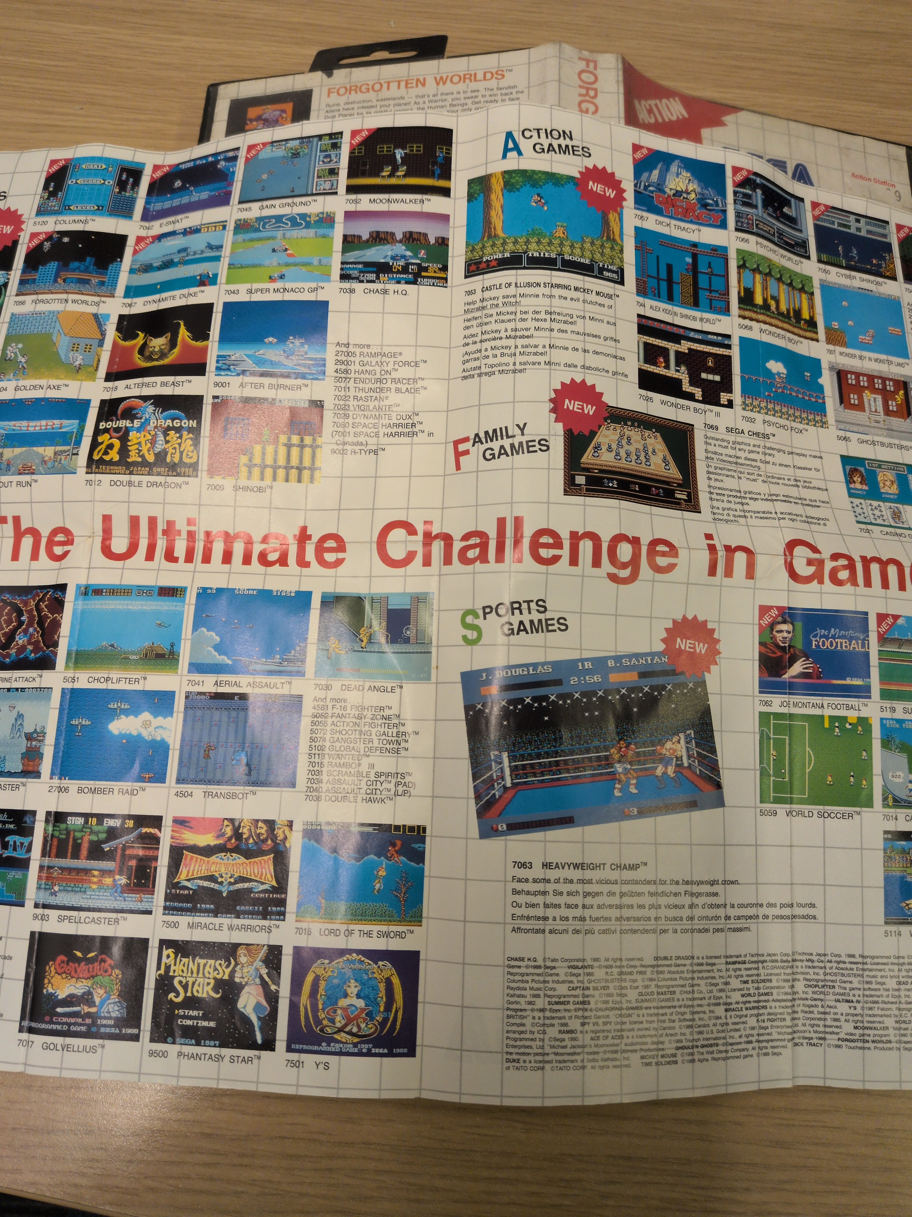 Forgotten Worlds Sega Master System game