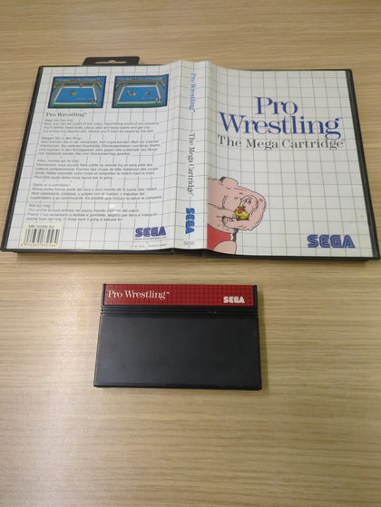Pro Wrestling Sega Master System game