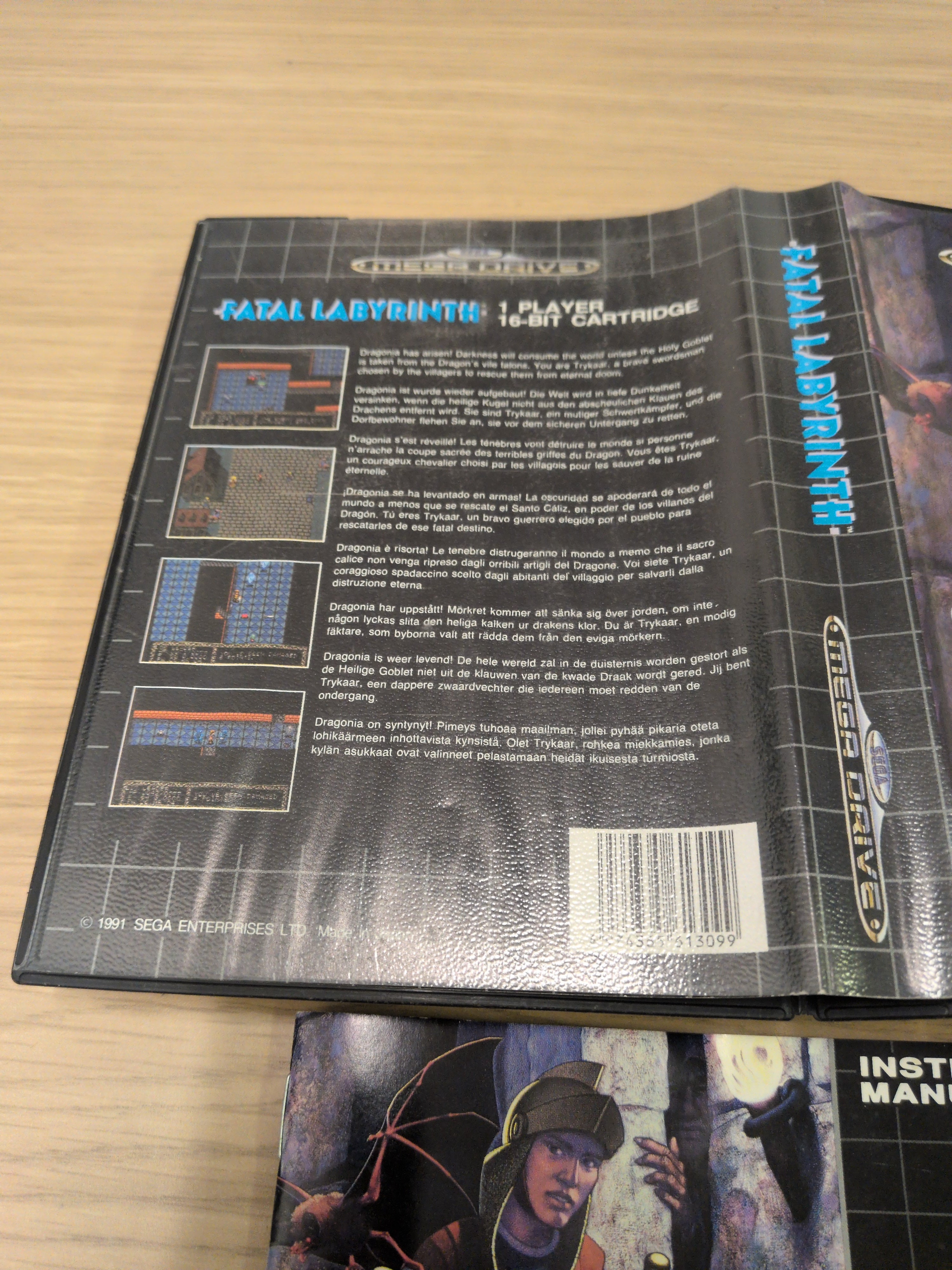 Fatal Labyrinth Sega Mega Drive game