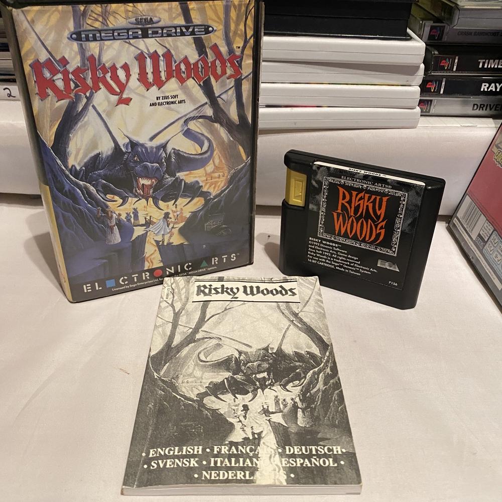 Buy Risky Woods -@ 8BitBeyond