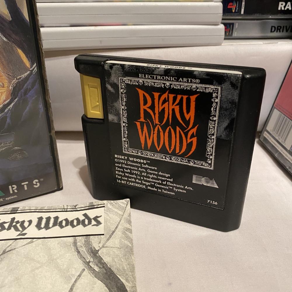 Buy Risky Woods -@ 8BitBeyond