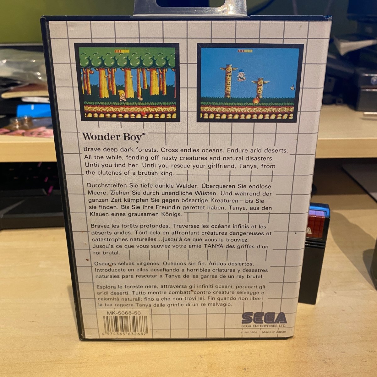Buy Wonder Boy Sega master system game -@ 8BitBeyond